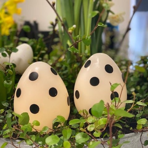LED Πασχαλινό αυγό μέσα Λευκό με μαύρες κουκίδες 2 τεμ. Deluxe Homeart 1
